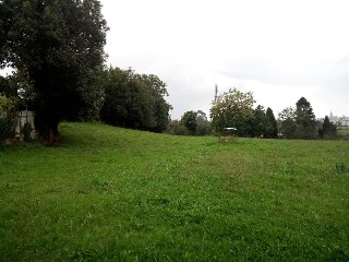 FRANCISCO ARGUELLES 16