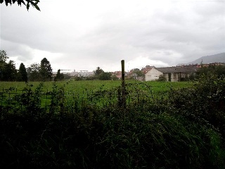 FRANCISCO ARGUELLES 17