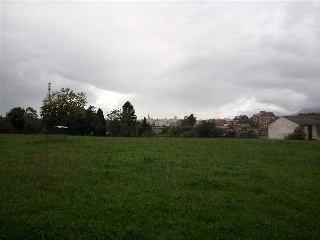 FRANCISCO ARGUELLES 18