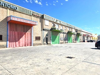 Pinos Puente 17
