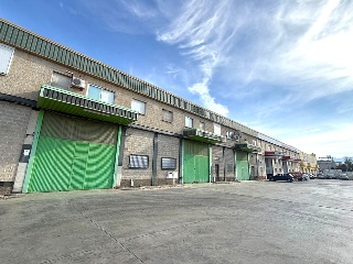 Pinos Puente 28