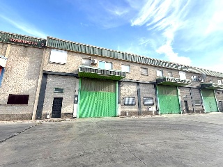 Pinos Puente 29