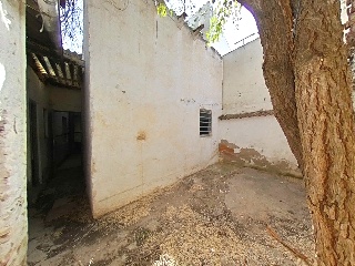 Carneros 56