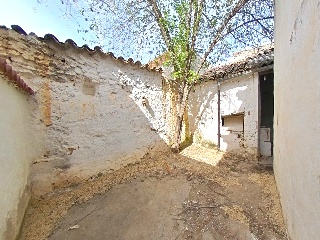 Carneros 57