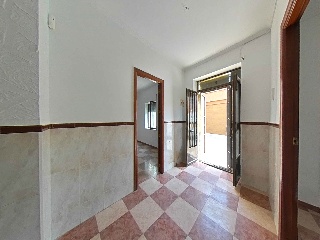 Carneros 67
