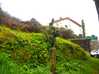 SAN ROQUE 14