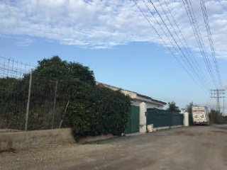 Pisos banco El Palmar