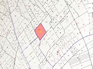 Suelos rústicos en  Pz del Ardal, Jumilla (Murcia) 2