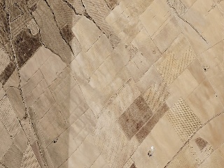 Suelos rústicos en  Pz del Ardal, Jumilla (Murcia) 3