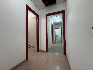 Nave Industrial en Elche 18