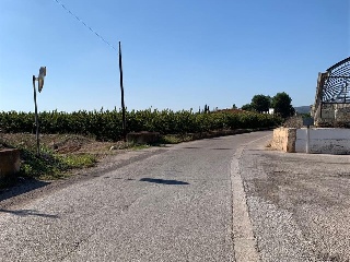 PARTIDA DE LES CONS Y BOTET, polígono 20, parcela 55 2