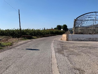 PARTIDA DE LES CONS Y BOTET, polígono 20, parcela 55 4