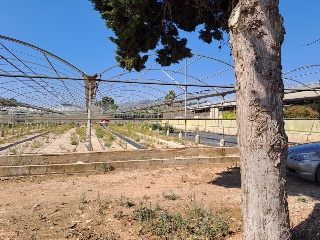 PARTIDA DE LES CONS Y BOTET, polígono 20, parcela 55 5