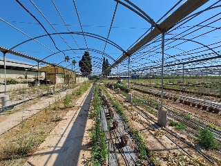 PARTIDA DE LES CONS Y BOTET, polígono 20, parcela 55 6