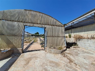 PARTIDA DE LES CONS Y BOTET, polígono 20, parcela 55 8