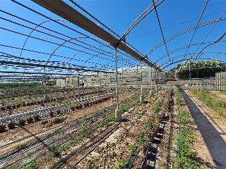 PARTIDA DE LES CONS Y BOTET, polígono 20, parcela 55 9