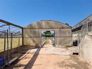 PARTIDA DE LES CONS Y BOTET, polígono 20, parcela 55 10