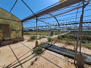 PARTIDA DE LES CONS Y BOTET, polígono 20, parcela 55 12