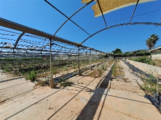 PARTIDA DE LES CONS Y BOTET, polígono 20, parcela 55 14
