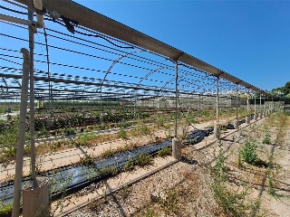PARTIDA DE LES CONS Y BOTET, polígono 20, parcela 55 15
