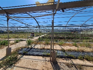 PARTIDA DE LES CONS Y BOTET, polígono 20, parcela 55 16