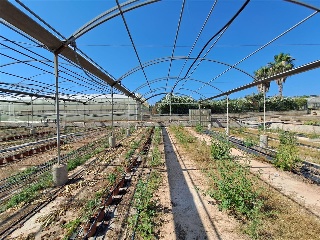 PARTIDA DE LES CONS Y BOTET, polígono 20, parcela 55 17