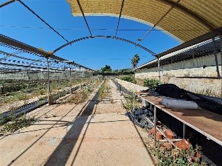 PARTIDA DE LES CONS Y BOTET, polígono 20, parcela 55 18