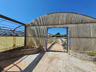 PARTIDA DE LES CONS Y BOTET, polígono 20, parcela 55 20