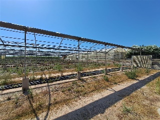 PARTIDA DE LES CONS Y BOTET, polígono 20, parcela 55 21