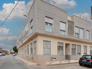 Cllon El Zapatero 17