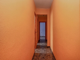 Lorenzo Vicens 12