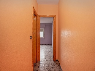 Lorenzo Vicens 17