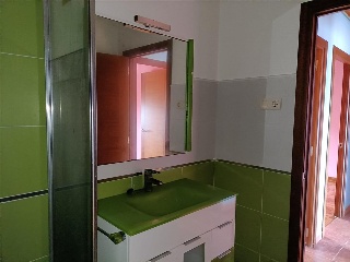 OS MALATOS 20
