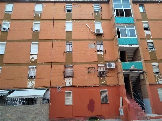 OSA MAYOR 2