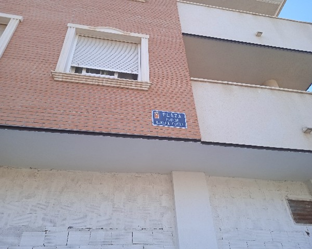 Avenida Pintor Pedro Cano