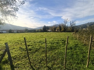 Arenas Iguña Sn 7