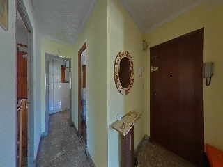 Alfereces Provisionales 5