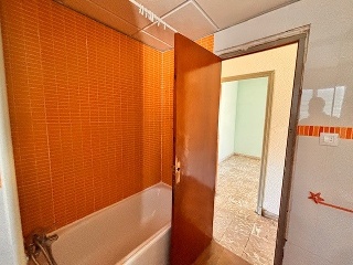 Alfereces Provisionales 14