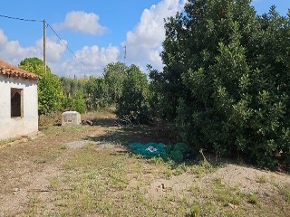 Plana d´en Berga i Verneda Primera 2