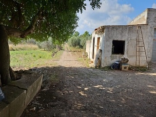 Plana d´en Berga i Verneda Primera 3