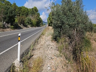 Plana d´en Berga i Verneda Primera 4