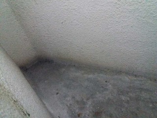 Basauri Kalea 4