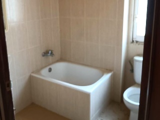 San Antonio Padua 12