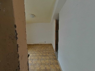 Palafox 5