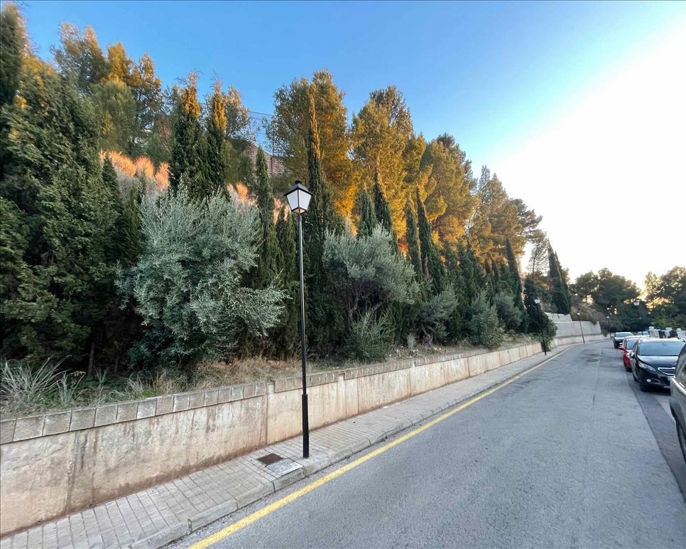 Rincon De Naquera