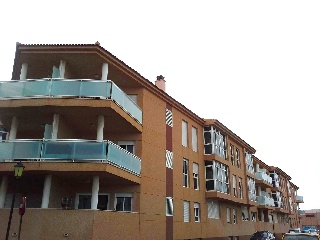 ARENA 8