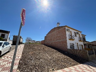 Reyes Catolicos 4