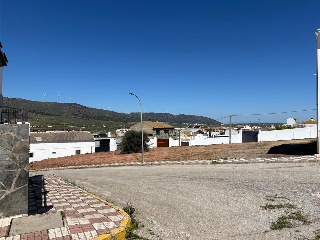 Reyes Catolicos 5