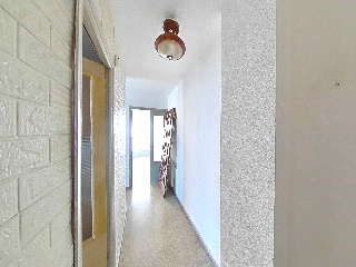 CIRCUNVALACION ENCINA 7