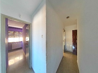 CIRCUNVALACION ENCINA 20